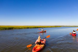 Three people kayak in the marsh